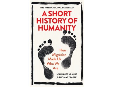 A Short History of Humanity: How Migration Made Us Who We Are