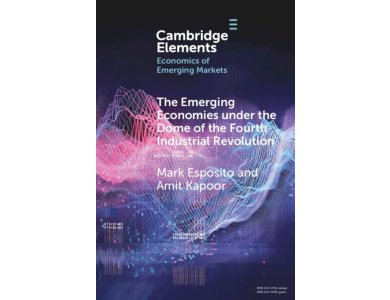 The Emerging Economies under the Dome of the Fourth Industrial Revolution