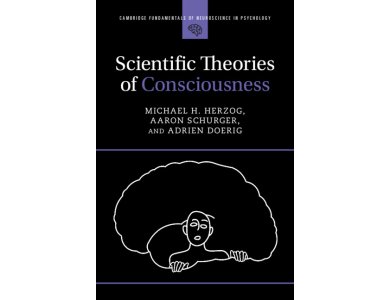 Scientific Theories of Consciousness
