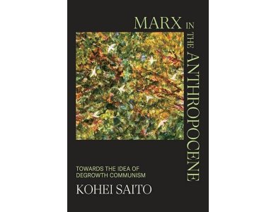 Marx in the Anthropocene: Towards the Idea of Degrowth Communism