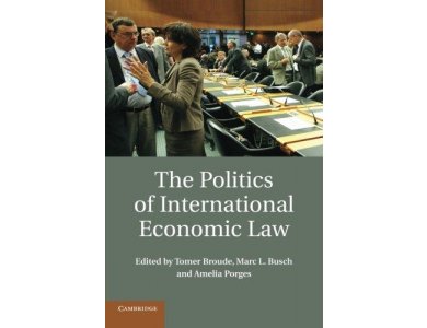 The Politics of International Economic Law