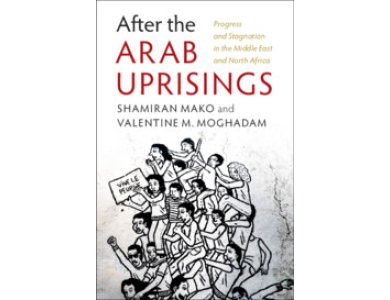 After the Arab Uprisings: Progress and Stagnation in the Middle East and North Africa
