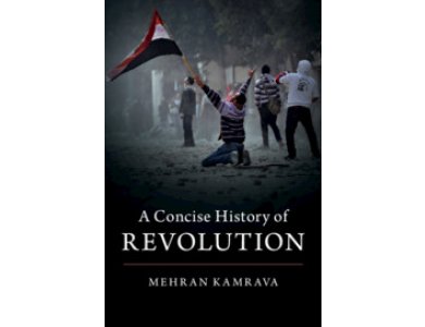 A Concise History of Revolution