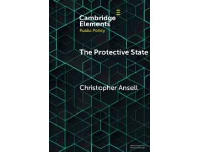 The Protective State