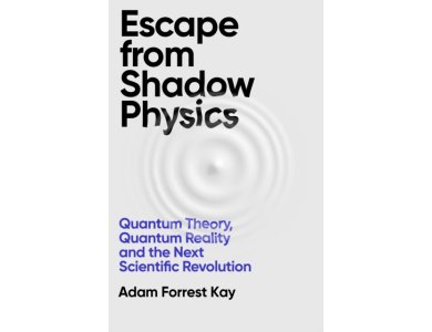 Escape From Shadow Physics: Quantum Theory, Quantum Reality and the Next Scientific Revolution