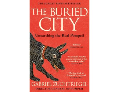 The Buried City: Unearthing the Real Pompeii