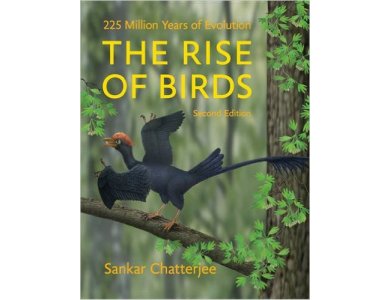 The Rise of Birds: 225 Million Years of Evolution