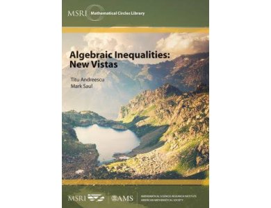 Algebraic Inequalities : New Vistas