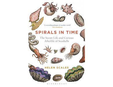 Spirals in Time: The Secret Life and Curious Afterlife of Seashells