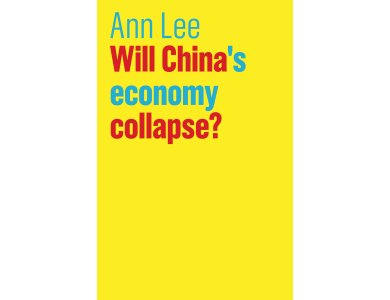 Will China's Economy Collapse?