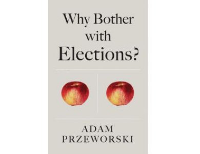 Why Bother With Elections?