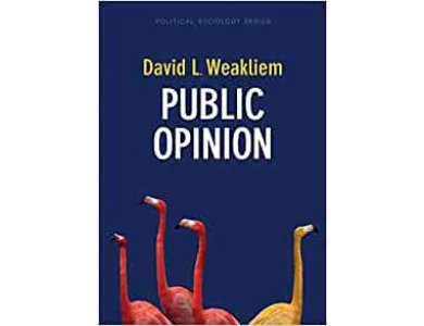 Public Opinion (Political Sociology Series)