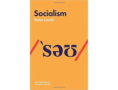 Socialism (Key Concepts in Political Theory)