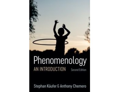 Phenomenology: An Introduction