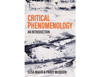 Critical Phenomenology: An Introduction