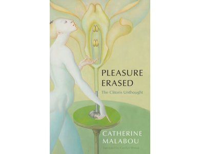 Pleasure Erased: The Clitoris Unthought