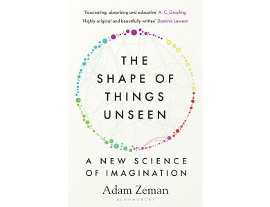 The Shape of Things Unseen: A New Science of Imagination