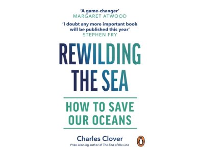 Rewilding the Sea: How to Save Our Oceans