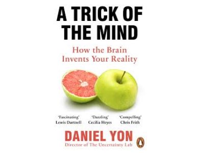 A Trick Of The Mind: How the Brain Invents Your Reality