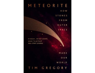 Meteorite: The Stones From Outer Space That Made Our World