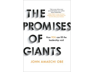 The Promises of Giants: How You Can Fill the Leadership Void