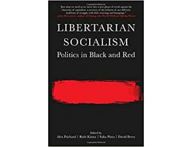 Libertarian Socialism: Politics in Black and Red