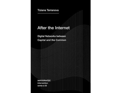 After the Internet: Digital Networks Between the Capital and the Common