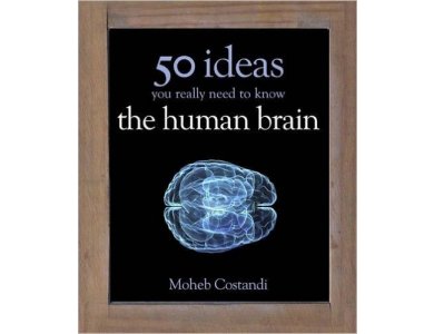 The Human Brain: 50 Ideas You Really Need to Know