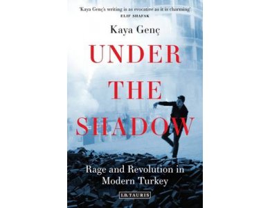 Under the Shadow: Rage and Revolution in Modern Turkey