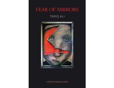 Fear of Mirrors