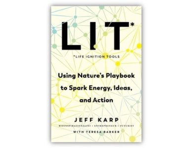 LIT*(Life Ignition Tool) : Use Nature's Playbook to Energize Your Brain, Spark Ideas, and Ignite Action
