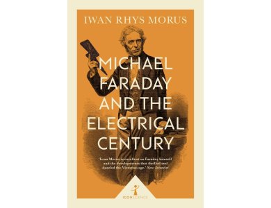 Michael Faraday and the Electrical Century