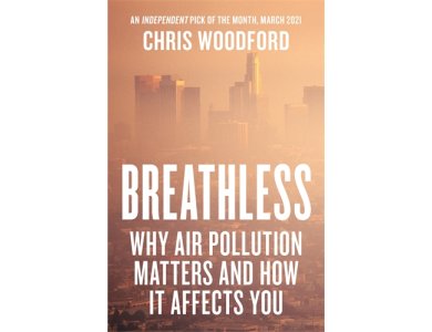 Breathless: Why Air Pollution Matters – and How it Affects You