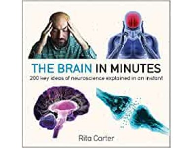 The Brain in Minutes: 200 Key Ideas of Neuroscience Explained in an Instant