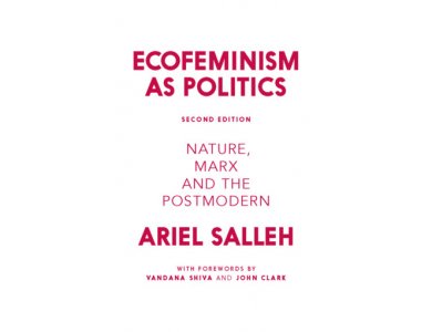 Ecofeminism as Politics: Nature, Marx and the Postmodern