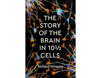 The Story of the Brain in 10½ Cells
