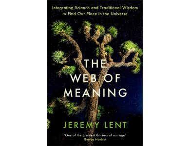 The Web of Meaning: Integrating Science and Traditional Wisdom to Find Our Place in the Universe