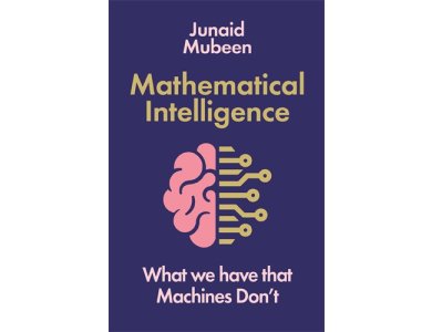 Mathematical Intelligence: What We Have that Machines Don't