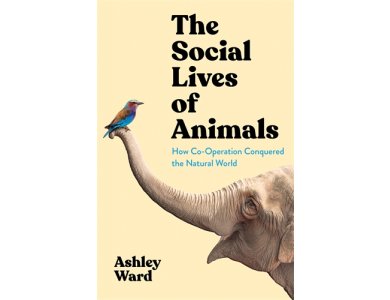 The Social Lives of Animals: How Co-Operation Conquered the Natural World