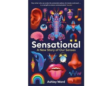Sensational: A New Story of our Senses