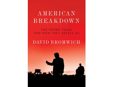 The American Breakdown: The Trump Years and How They Befell Us