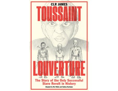 Toussaint Louverture: The Story of the Only Successful Slave Revolt in History