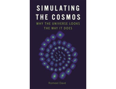 Simulating the Cosmos: Why the Universe Looks the Way It Does