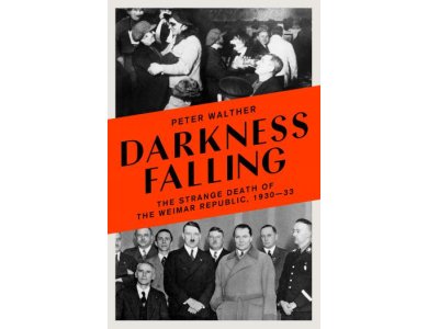 Darkness Falling: The Strange Death of the Weimar Republic, 1930-33