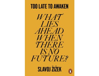 Too Late to Awaken: What Lies Ahead When There is No Future?