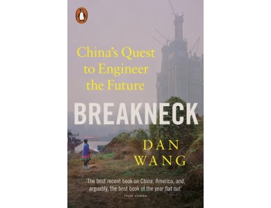 Breakneck: China's Quest to Engineer the Future