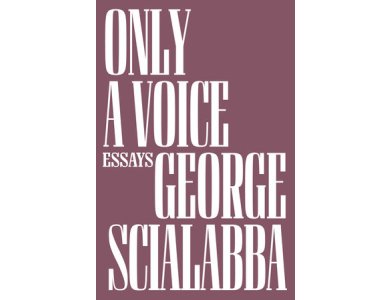 Only a Voice: Essays