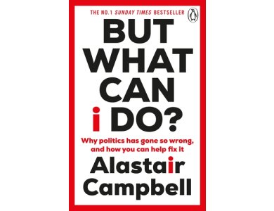 But What Can I Do?: Why Politics Has Gone So Wrong, and How You Can Help Fix It