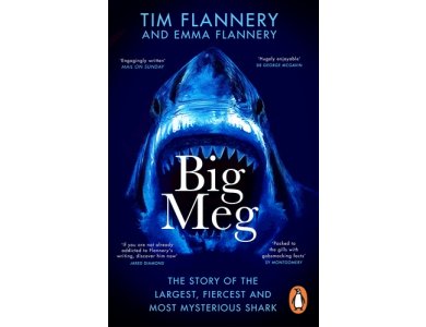 Big Meg: The Story of the Largest, Fiercest and Most Mysterious Shark