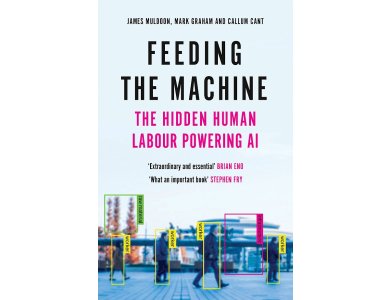 Feeding the Machine: The Hidden Human Labour Powering AI